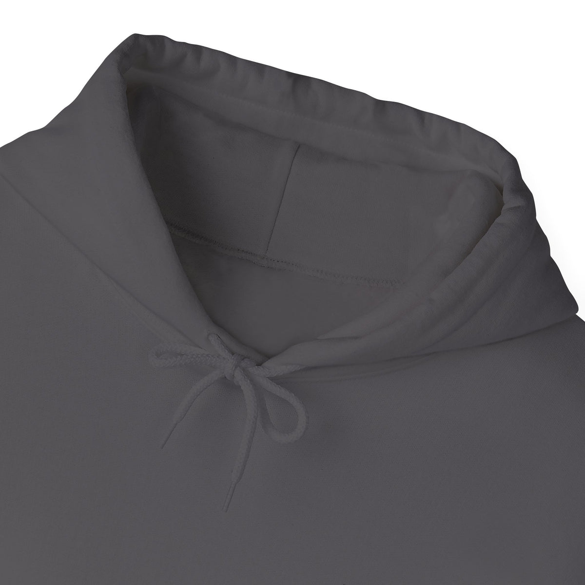 Panorama Sleeve Logo Hoodie