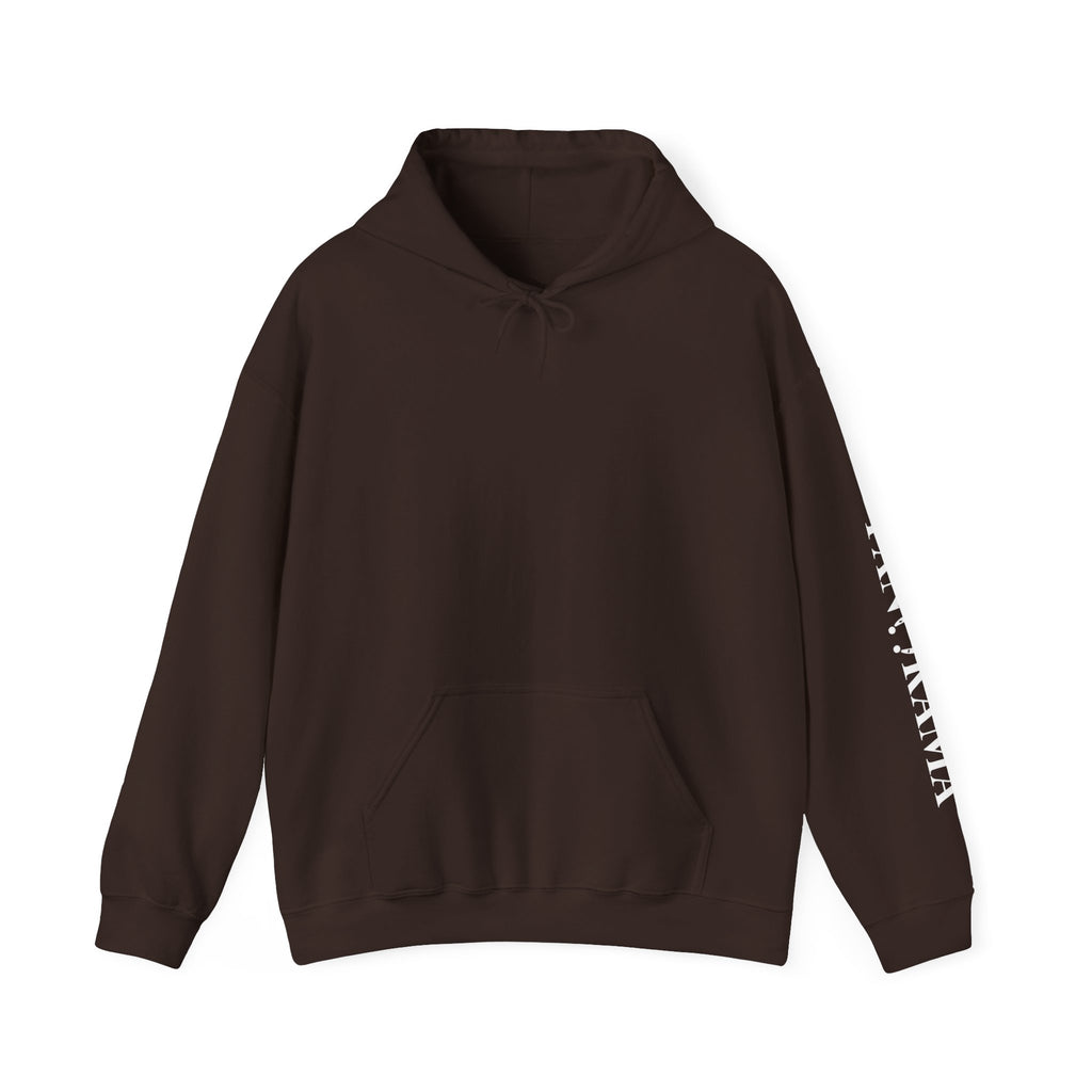 Panorama Sleeve Logo Hoodie