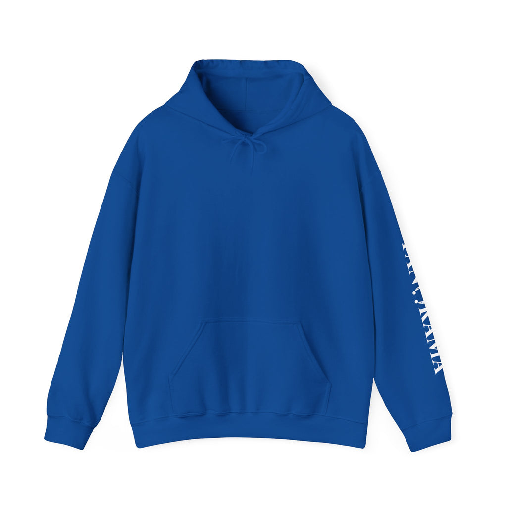 Panorama Sleeve Logo Hoodie