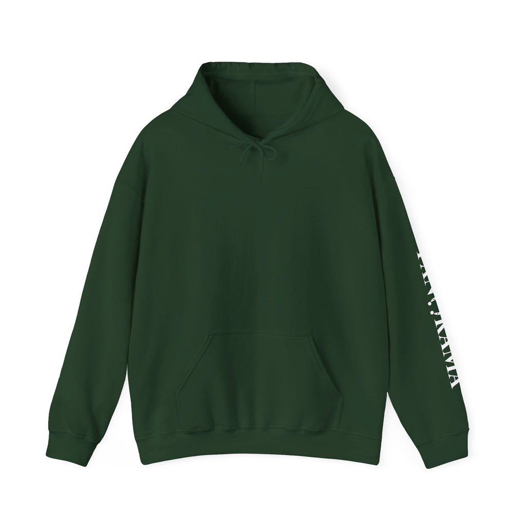 Panorama Sleeve Logo Hoodie