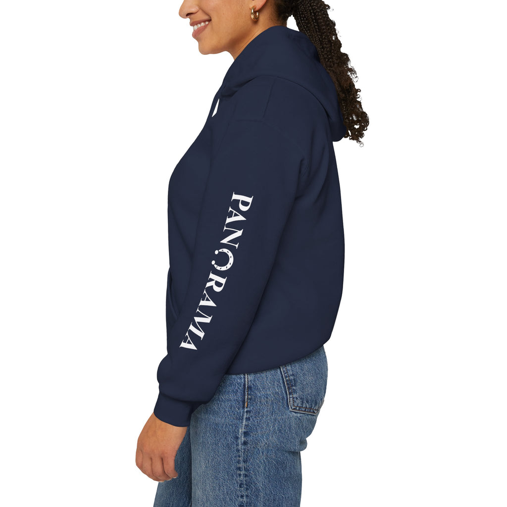 Panorama Sleeve Logo Hoodie