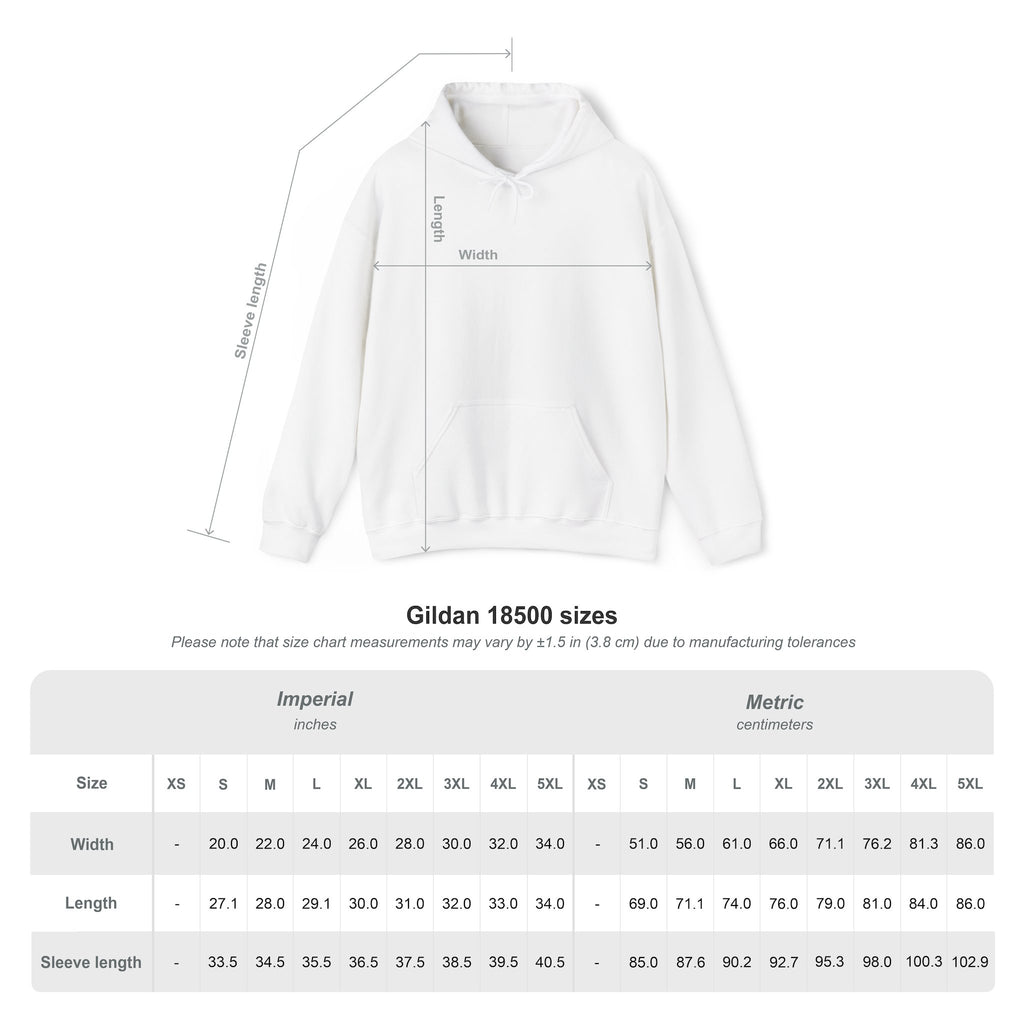 Panorama Sleeve Logo Hoodie