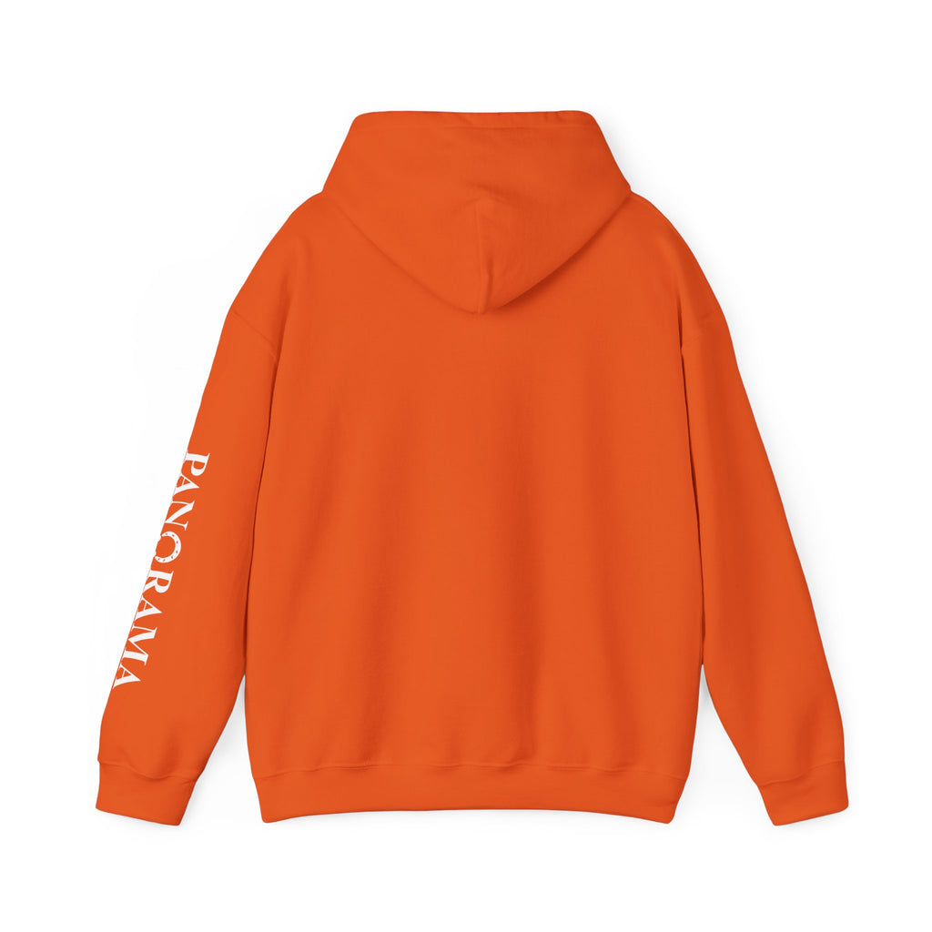 Panorama Sleeve Logo Hoodie