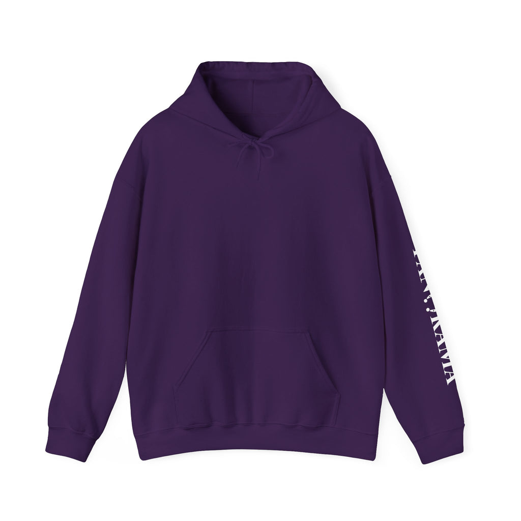 Panorama Sleeve Logo Hoodie